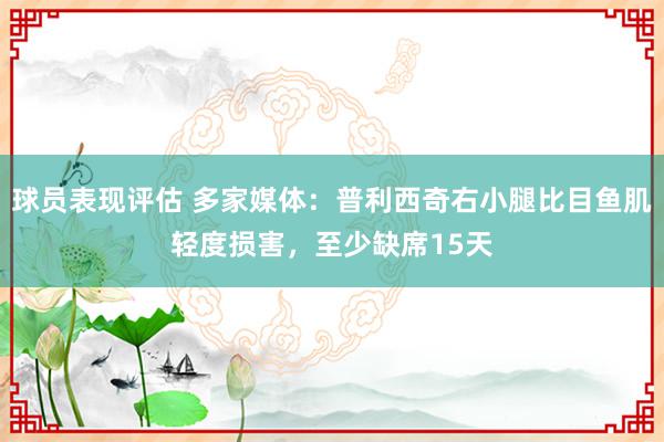 球员表现评估 多家媒体：普利西奇右小腿比目鱼肌轻度损害，至少缺席15天