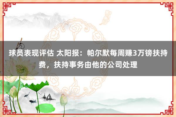 球员表现评估 太阳报：帕尔默每周赚3万镑扶持费，扶持事务由他的公司处理