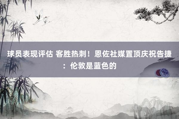 球员表现评估 客胜热刺！恩佐社媒置顶庆祝告捷：伦敦是蓝色的