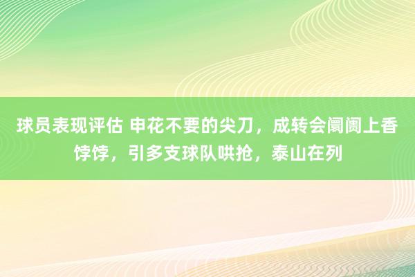 球员表现评估 申花不要的尖刀，成转会阛阓上香饽饽，引多支球队哄抢，泰山在列